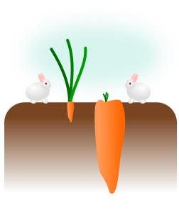 illustration lapin carotte